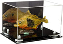 Memorabilia display case for sale on Better Display Cases