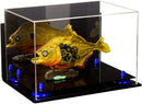 Clear acrylic display case for sale on Better Display Cases