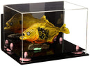 Collectible display case for sale on Better Display Cases