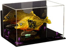 Memorabilia display case for sale on Better Display Cases