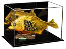 display case for memorabilia on Better Display Cases