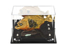 display case for collectibles on Better Display Cases