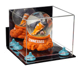 Small Display Case with Mirror, Wall Mount, Risers and Clear Base