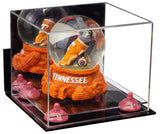 Versatile Display Case with Mirror, Risers and Wall Mount