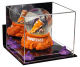 Small Display Case with Clear Base