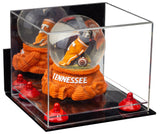 Small Display Case with Wall Mount