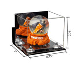 8.75x7.75x7 Mini Display Case with Risers
