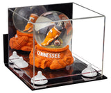 Mirrored Small Display Case with Wall Mount