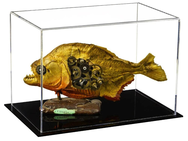 Versatile Acrylic Display Case 9.5 x 6 x 6.5 - Clear (A005/V43)