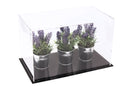 clear acrylic collectible case on Better Display Cases