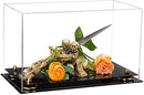 collectible showcase display box on Better Display Cases