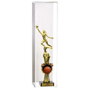 White Back Trophy Display Case
