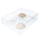 ocean or sea shells display case