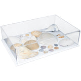 Versatile-ocean or sea shells display case