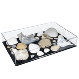 Versatile Acrylic Display Cases with Double Sheet Base with Clear Case