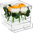 Clear acrylic flower holder display case with nine individual flower openings