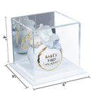 Clear Acrylic Ornament Display Case with Mirrored Rear Panel