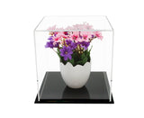 Versatile Acrylic Display Case, Cube, Dust Cover or Riser <br /><sub>8" x 8" x 8" (A059-DS), Display Case, Better Display Cases, Better Display Cases - Better Display Cases