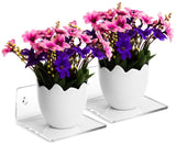 Clear Wall Mounted Flower Floating Shelf Double Pack