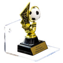 Wall Mounted Floating Shelf