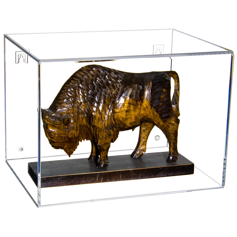 Clear Horizontal Wall Mount Statue Display Case