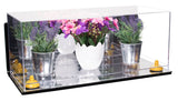 Acrylic Versatile Display Case 19.25 x 8.25 x 8 - Mirror Wall Mount (V47/A103)