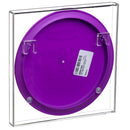 Wall-mounted clear acrylic disc golf disc display case back view