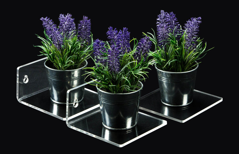 Clear Wall Mounted Floating Shelf