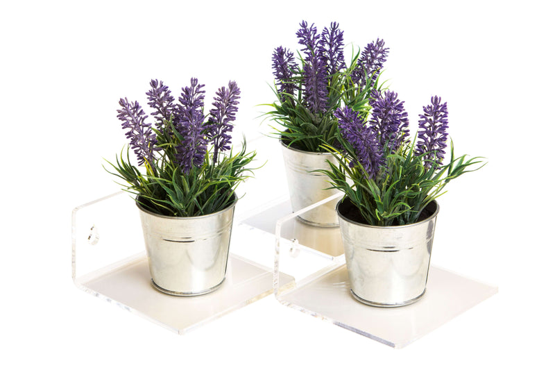 Clear Wall Mounted Floating Shelf