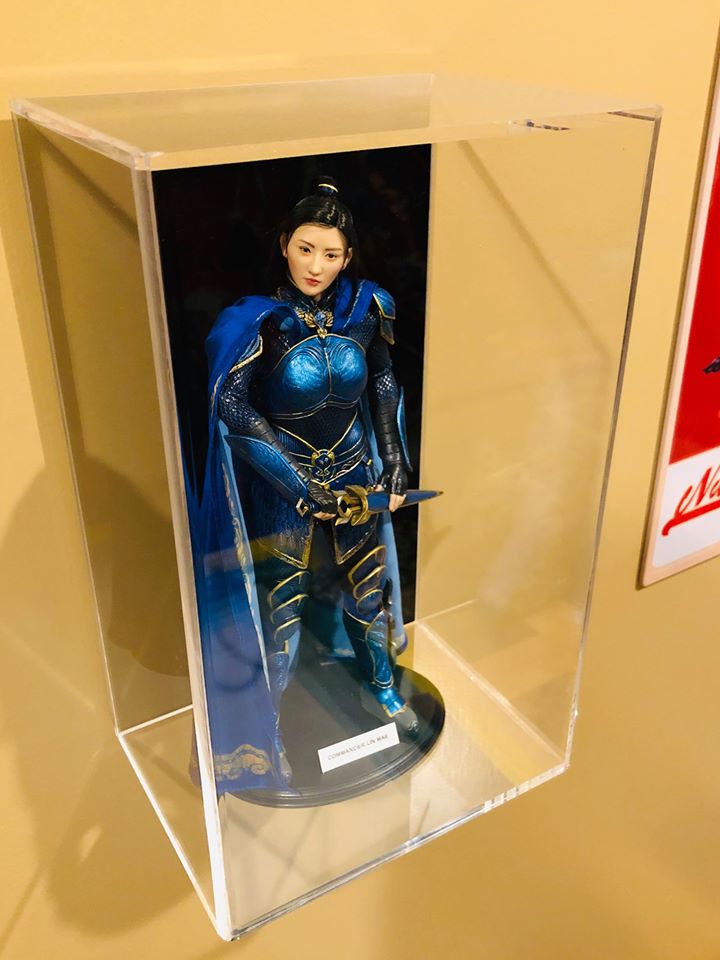 Action Figure Display Case