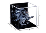 Versatile Acrylic Display Case Cube Dust Cover