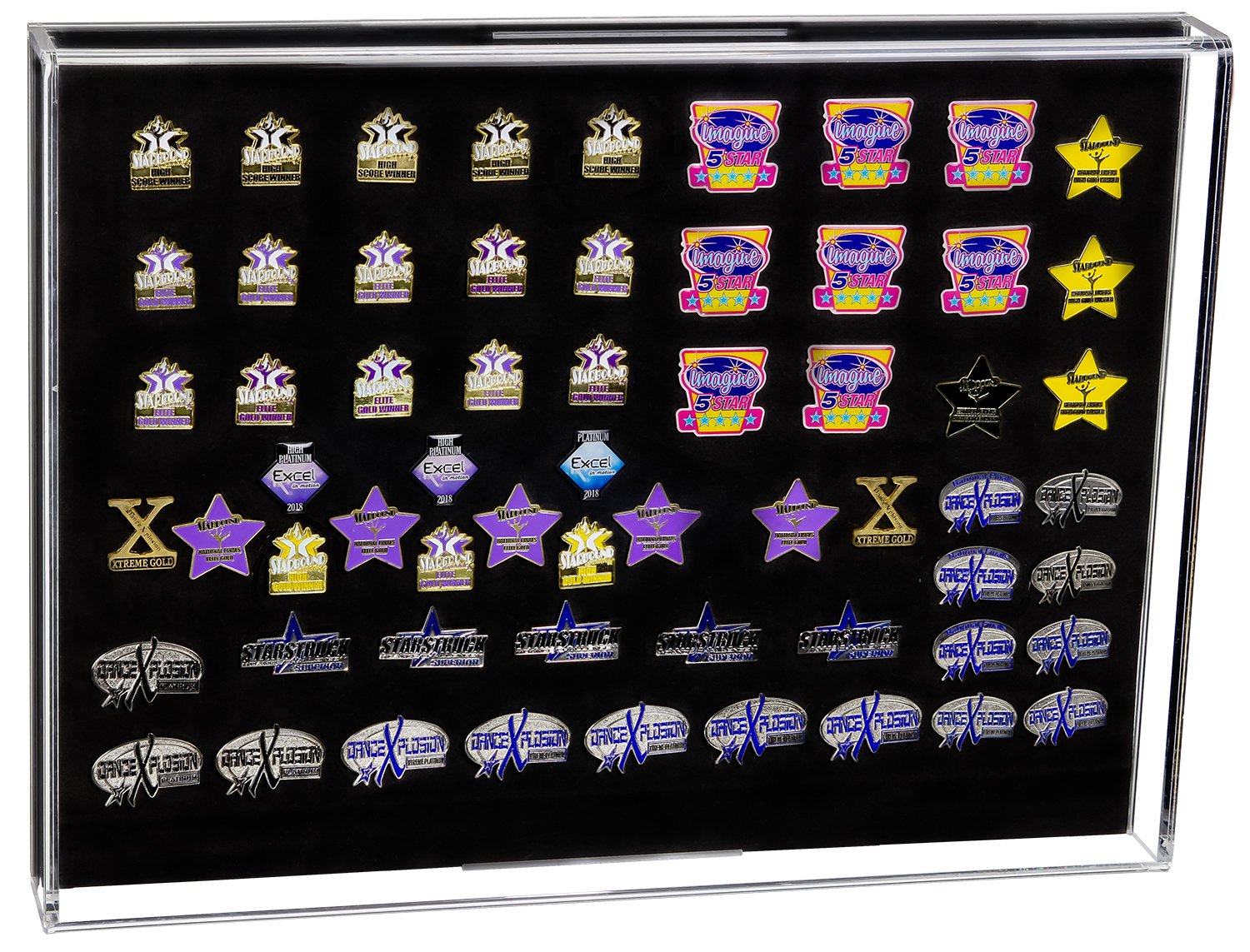 Pin Collectors Display Case