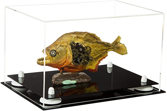 Acrylic Versatile Display Case 12 X 8.25 X 8 - Clear (A004/V41)