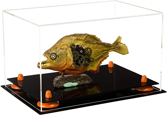 Acrylic Versatile Display Case 12 X 8.25 X 8 - Clear (A004/V41)
