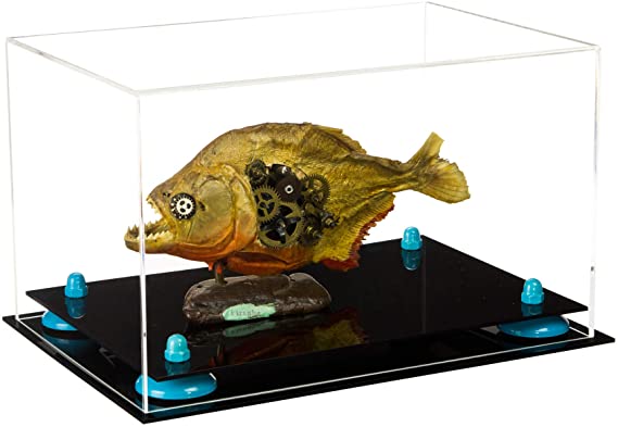 Acrylic Versatile Display Case 12 X 8.25 X 8 - Clear (A004/V41)
