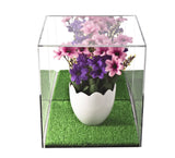 Acrylic Versatile Display Case  8 X 8 X 8.5 Mirror (V03/A015)