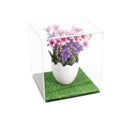 Acrylic Versatile Display Case  8 X 8 X 8.5 Clear (A015/V03)