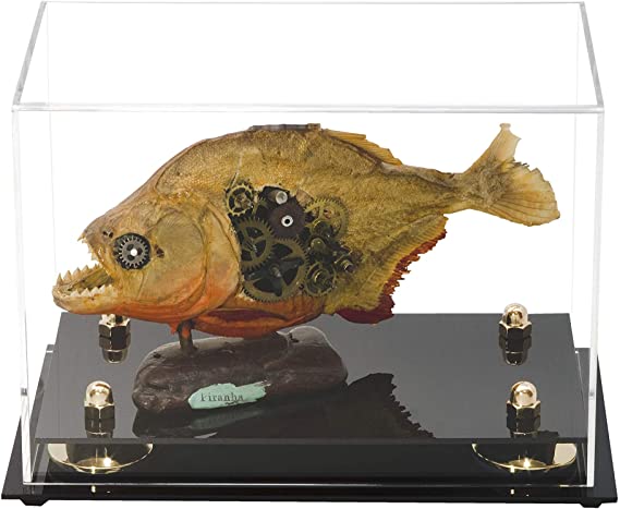 Versatile Acrylic Display Case 9.5 x 6 x 6.5 - Clear (A005/V43)