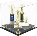 trophy display case
